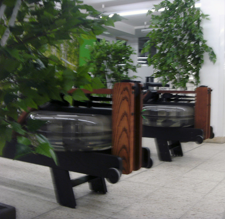 Rudergeräte zwischen Pflanzen