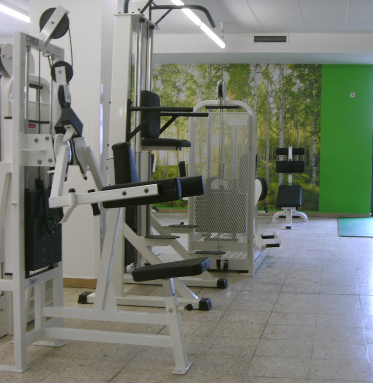 Cybex-Kraftstationen mit Birken-Wandbild