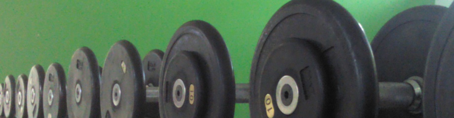 Hantelablage vor grüner Wand – Studio-Detail