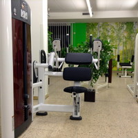 Detailaufnahme eines Cybex-Kraftgeräts