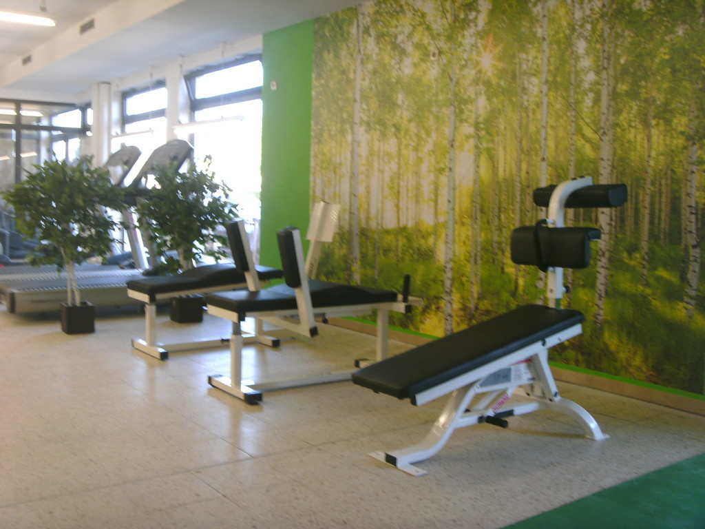 Trainingsfläche bei rothfitness mit Hanteln, Cybex-Geräten und Birken-Wandbild im Studio Eggenstein