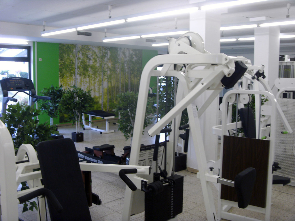 Weitwinkel auf Kraftgeräte mit Birken-Wandbild und Cardio