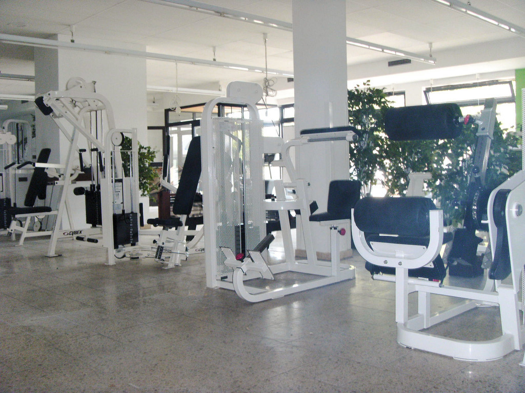 Cybex-Kraftgeräte mit Pflanzen und großen Fenstern bei rothfitness Eggenstein